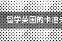东亚管理学院在新加坡私立院校中名列前茅？ 卡迪夫大学新加坡分校