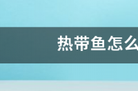 热带鱼要怎么养？ 热带鱼如何养