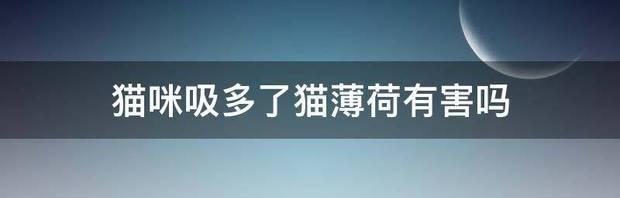 t01380cdac64d13302e.jpg