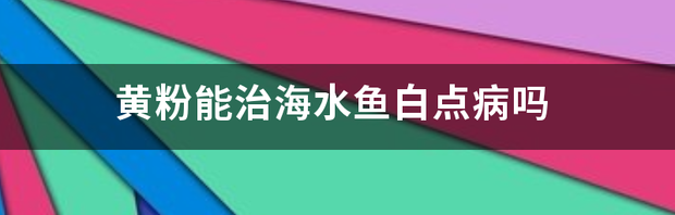 t01d07c1c70e0ff3626.png