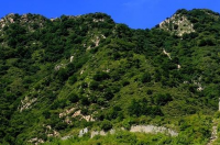 凤凰镇旅游景点推荐？ 凤凰旅游景点