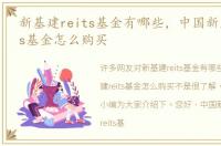 新基建reits基金有哪些，中国新基建reits基金怎么购买