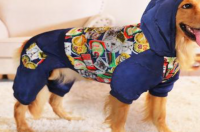 狗狗衣服制作教程 手工给狗狗做衣服教程