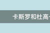 卡斯罗和杜高一块儿养可以吗 卡斯罗vs杜高打架