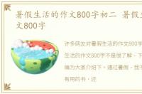 暑假生活的作文800字初二 暑假生活的作文800字
