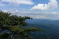 洛阳老君山一日游路线推荐 老君山旅游攻略