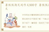 暑假假期见闻作文500字 暑假假期见闻作文