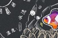 黄嘴黑公子小丑鱼好养吗？ 小丑鱼好养吗