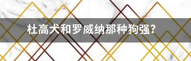 t01fd6c59901b7441ce.png