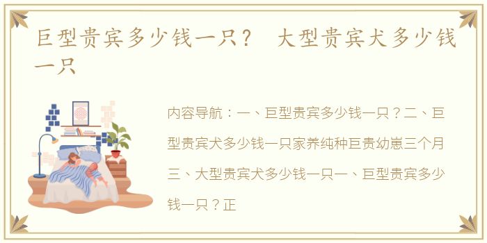 巨型贵宾多少钱一只？ 大型贵宾犬多少钱一只