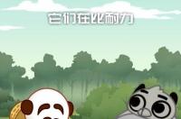 茶杯犬寿命多长？ 茶杯狗的寿命有多长