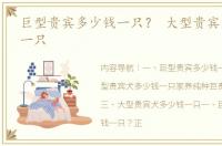 巨型贵宾多少钱一只？ 大型贵宾犬多少钱一只