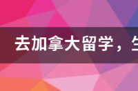 留学生在多伦多生活加学费总共要多少钱？ 去加拿大留学生活费