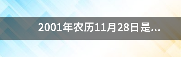 t015cd2ddf3c4ebfe15.png