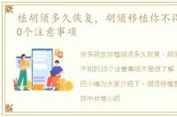 植胡须多久恢复，胡须移植你不得不知的10个注意事项