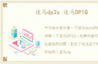 适马dp2s 适马DP1Q