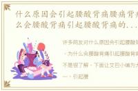 什么原因会引起腰酸背痛腰痛背痛，为什么会腰酸背痛引起腰酸背痛的五大原因