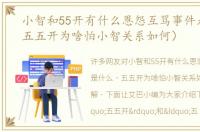 小智和55开有什么恩怨互骂事件是什么（五五开为啥怕小智关系如何）