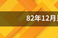 82年12月是什么星座？ 12月21日是摩羯座吗