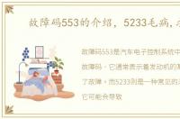故障码553的介绍，5233毛病,求解