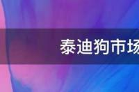 泰迪犬多少钱一只？ 泰迪价格多少一只