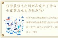 张碧晨张杰之间到底发生了什么（谢娜封杀张碧晨是因为张杰吗）