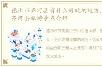 德州市齐河县有什么好玩的地方，德州市齐河县旅游景点介绍
