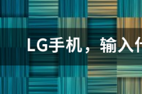 怎样查LG的手机型号？ lg的手机出过的型号