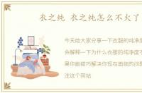 衣之纯 衣之纯怎么不火了