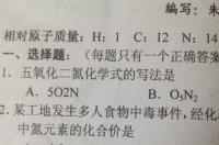 氧化氮化学式是什么？ 四氧化二氮化学式