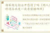 杨幂魏大勋公开恋情了吗（两人恋情再添料酒店共度一夜亲密缠绵照）