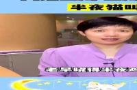 猫咪半夜乱叫是怎么回事？ 半夜猫叫是怎么回事