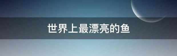t014b940a19d1d659d0.jpg
