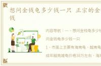 想问金钱龟多少钱一只 正宗的金钱龟多少钱