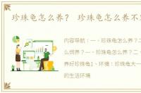 珍珠龟怎么养？ 珍珠龟怎么养不容易死