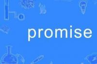 promise用英语怎么说 promise
