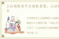 上证指数是什么指数类型，上证指数是什么