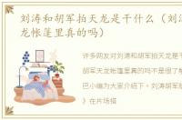 刘涛和胡军拍天龙是干什么（刘涛胡军天龙帐篷里真的吗）
