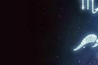 天蝎女和哪些星座配？ 天蝎座女与什么星座最配