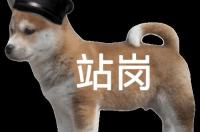 这只狗叫什么？求这只狗的表情包 最近很火的狗的表情包