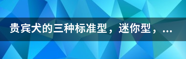 t0132c9dce51f6dddd3.png