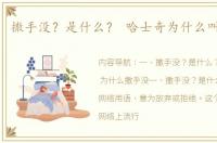 撒手没？是什么？ 哈士奇为什么叫撒手没