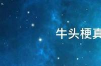 梗类犬都有哪些？ 牛头梗犬类