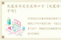 凤凰传奇是否是两口子（凤凰传奇是两口子吗）