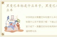 黑曼巴车标是什么车子，黑曼巴车标是什么车