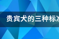 3到4斤的贵宾是什么型的泰迪，玩具型还是迷你型？ 贵宾犬迷你型和玩具型的区别