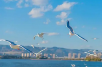 昆明一天游最好逛哪些景点？ 昆明一日游