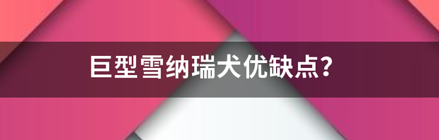 t01f33bf383299c053e.png