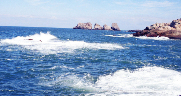 t0109b1affdd8980af6.png