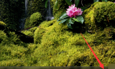 t011b91bb17ffaf64ef.png